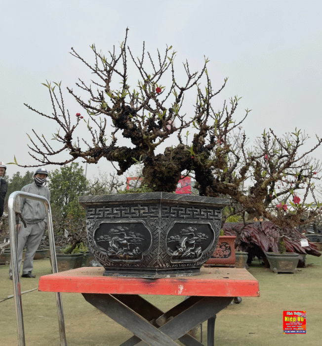 Khí hoa nghìn năm của Hà Nội xưa